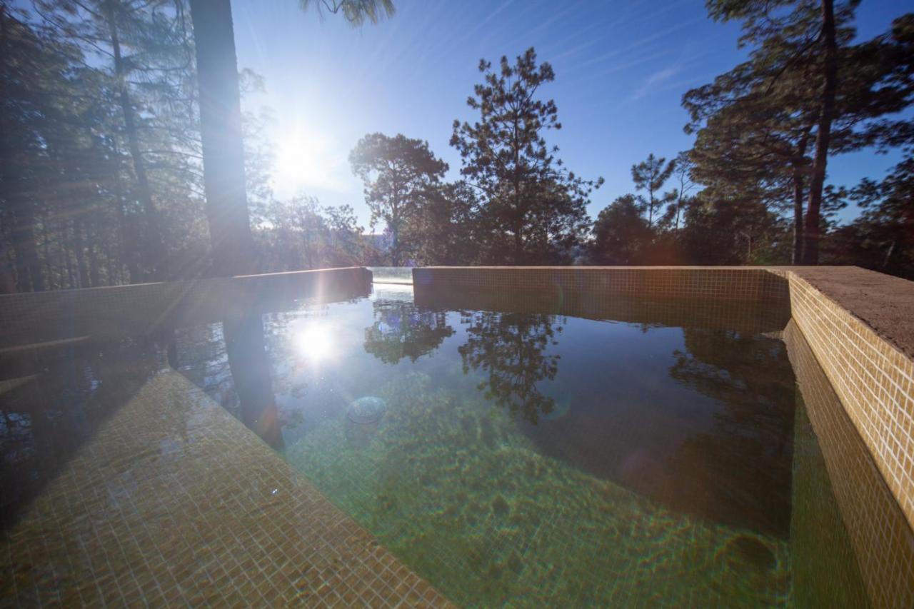 Cabana Lujo Con Alberca Climatizada Vistas Al Bosque De Mazamitla Luaran gambar